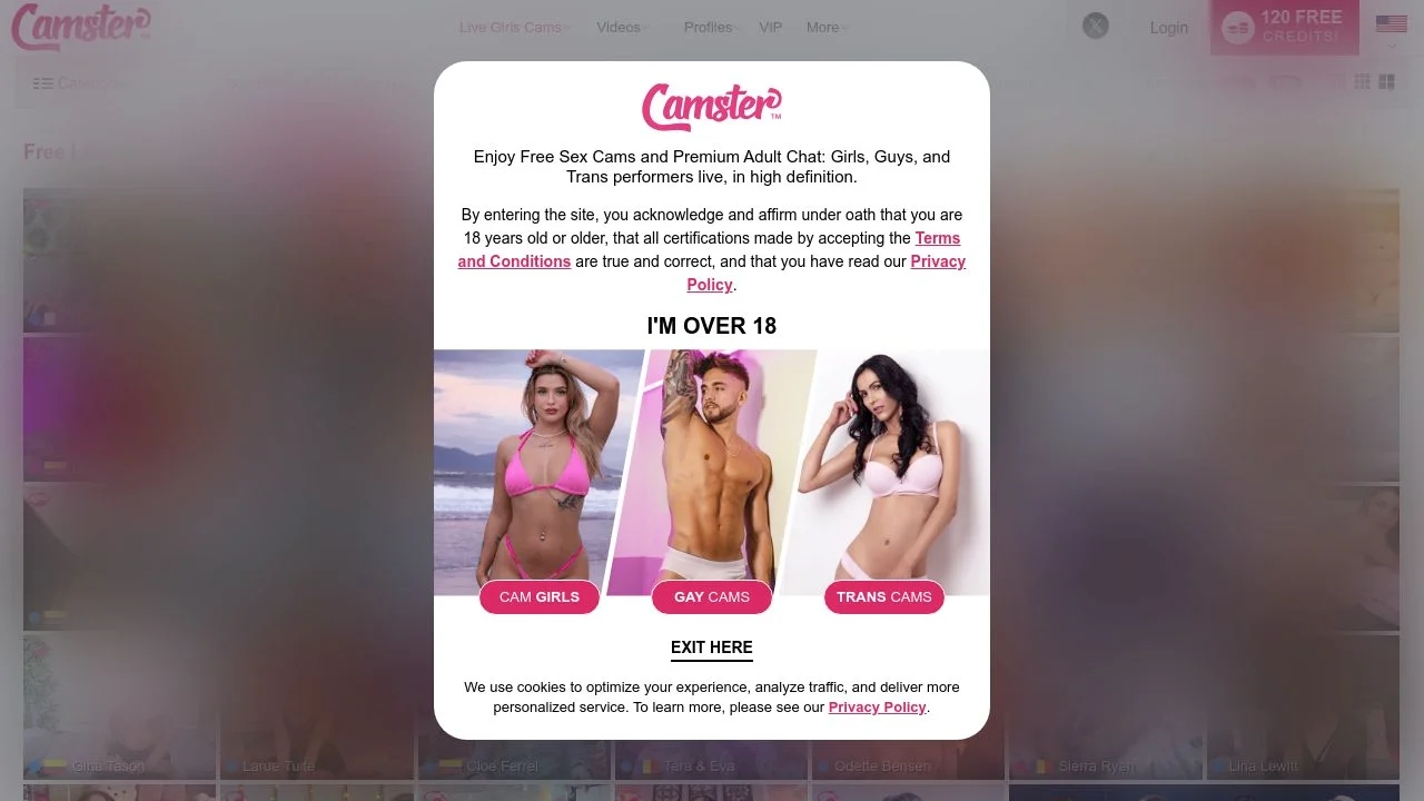 Camster - Free Live Cam Girls & Live Sex Chats screenshot