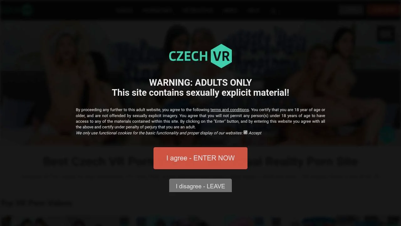 CzechVR - Virtual Reality Porn Network screenshot