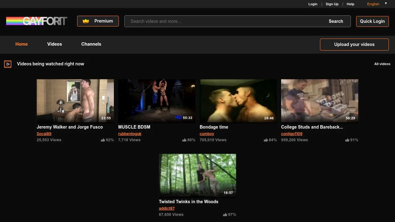 Discover Unmatched Gay Entertainment at GayForIt.eu screenshot