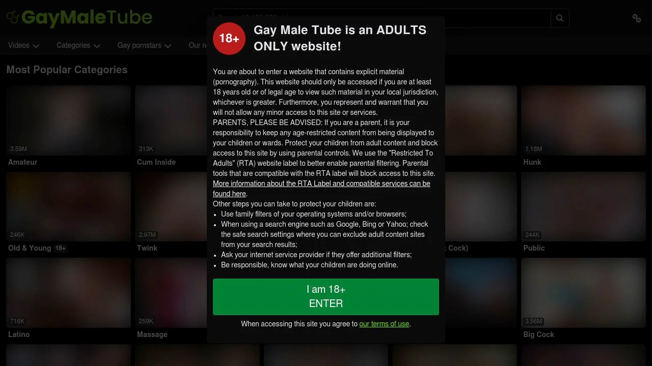 Gay Porn @ Gay Male Tube screenshot
