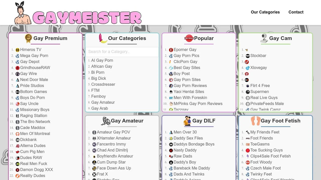 GayMeister - Best Gay Porn Sites of 2025 screenshot
