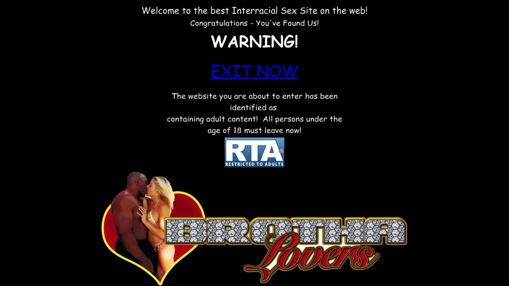 The Best Interracial Sex Site on the Web! screenshot