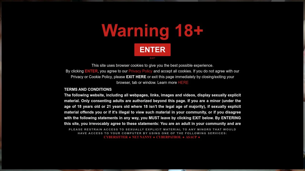 Experience Premium Adult Entertainment at JapanHD.xxx screenshot