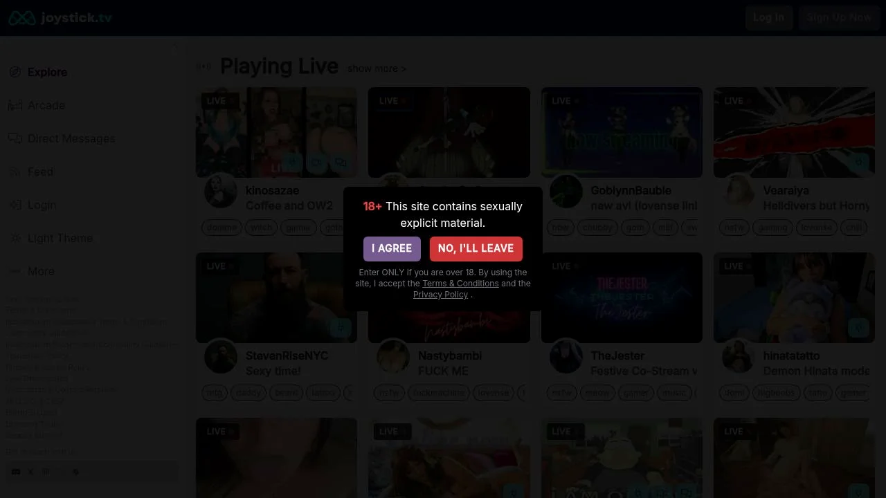 Joystick.tv - NSFW Streaming of Video Games, Vtubers, Art & more. screenshot