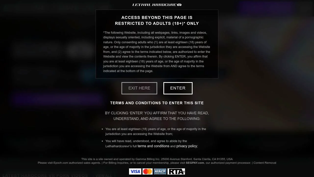 Lethalhardcorevr screenshot