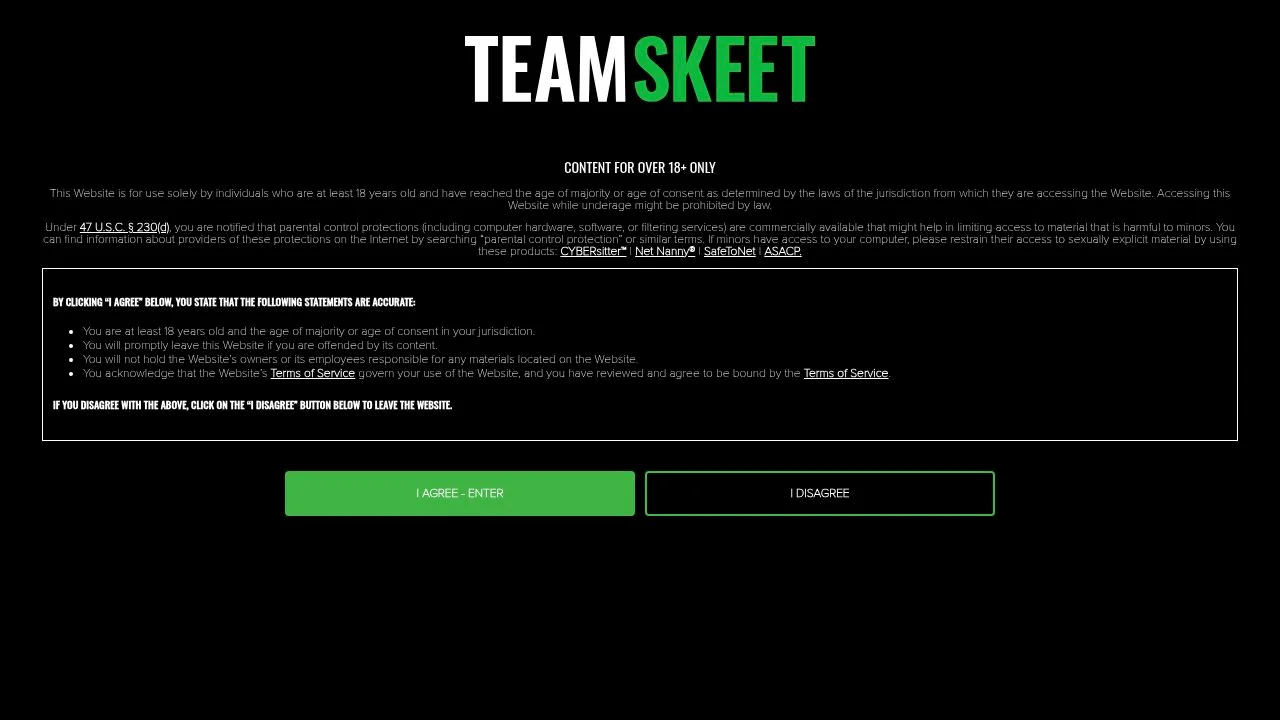 Littleasians screenshot