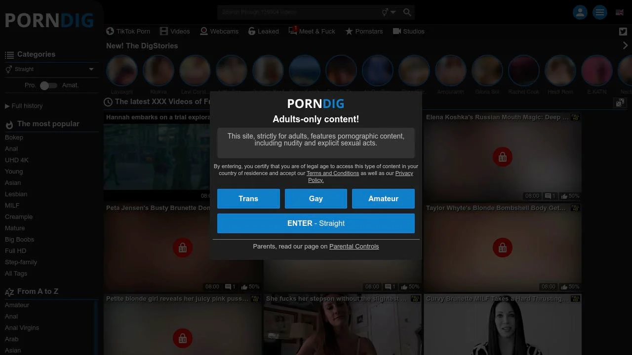 PornDig: Free Porn Tube Video HD - Streaming Sex screenshot