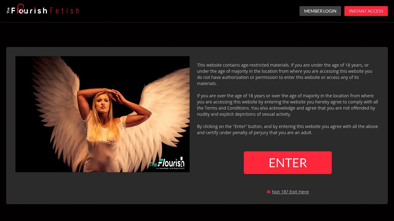 THE FLOURISH POV | Get Great Porn screenshot