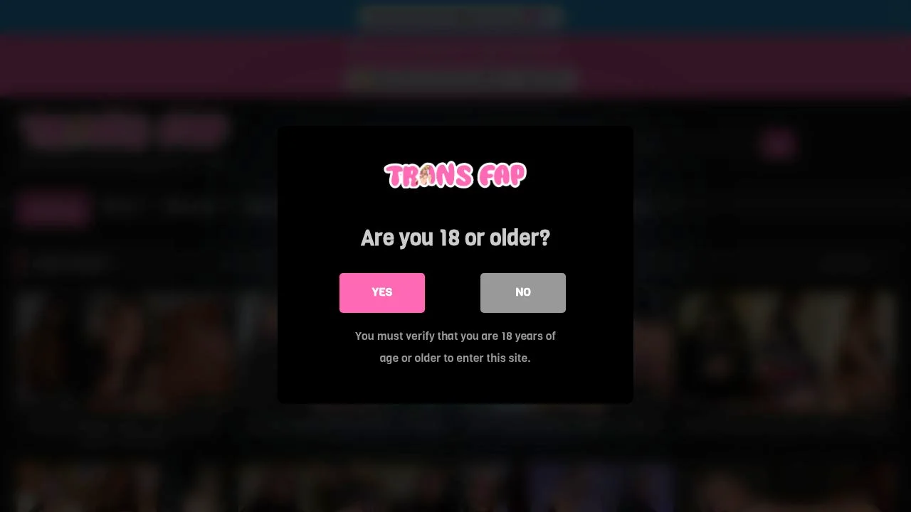 Discover Unique Trans Content on TransFap.to screenshot