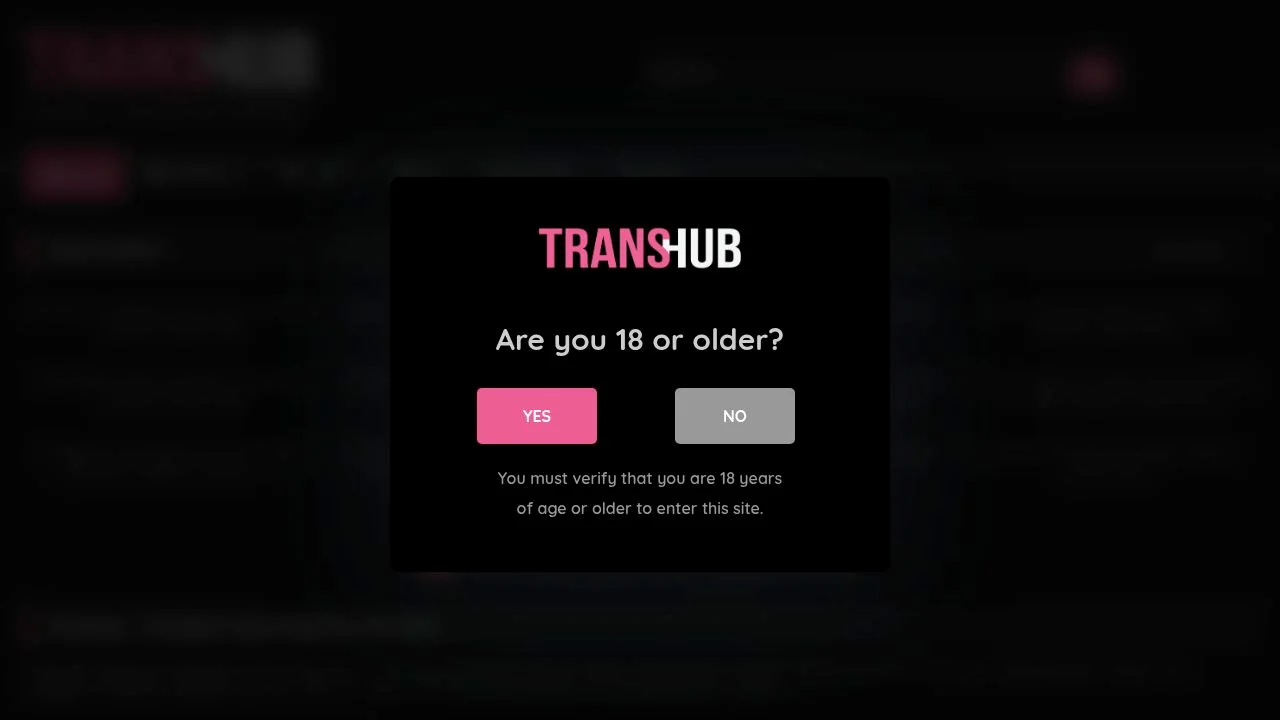 TransHub screenshot